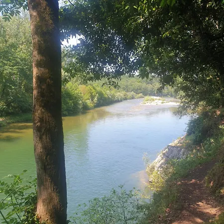 El Búho De La Remolina Bode