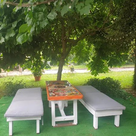 El Búho De La Remolina *