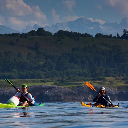 El Búho De La Remolina *
