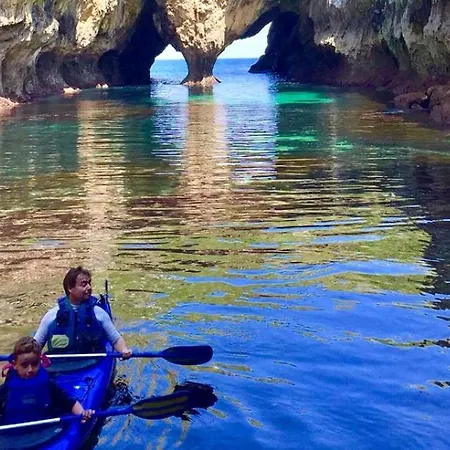 El Búho De La Remolina Bode