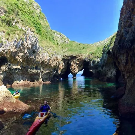 El Búho De La Remolina