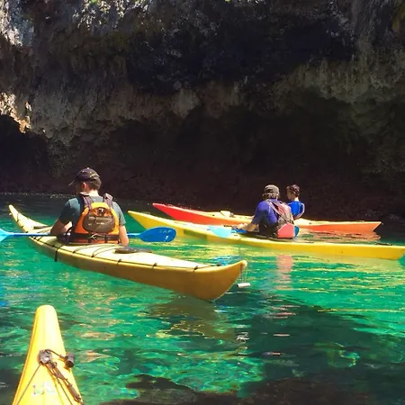 El Búho De La Remolina *