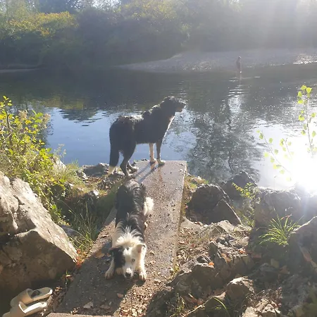El Buho De La Remolina * Bode
