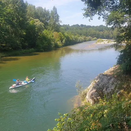 El Buho De La Remolina Bode