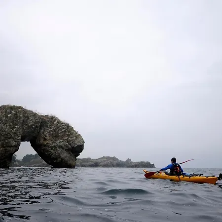 El Buho De La Remolina *