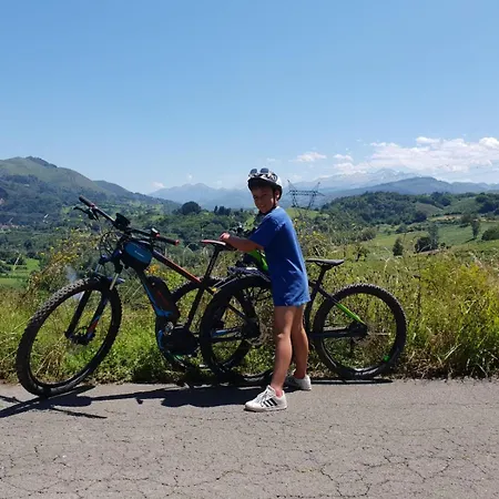 El Buho De La Remolina Bode