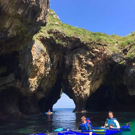 El Buho De La Remolina * Bode