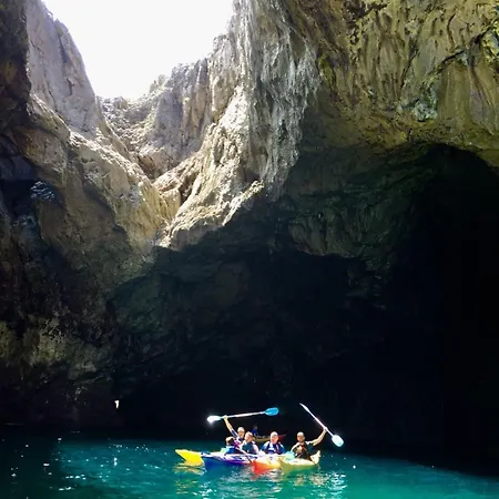 El Buho De La Remolina